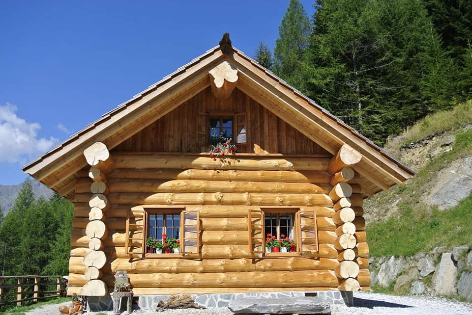 constructii case lemn rotund