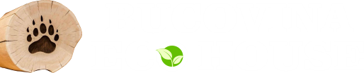 BUCOVINA ECO HOUSE logo